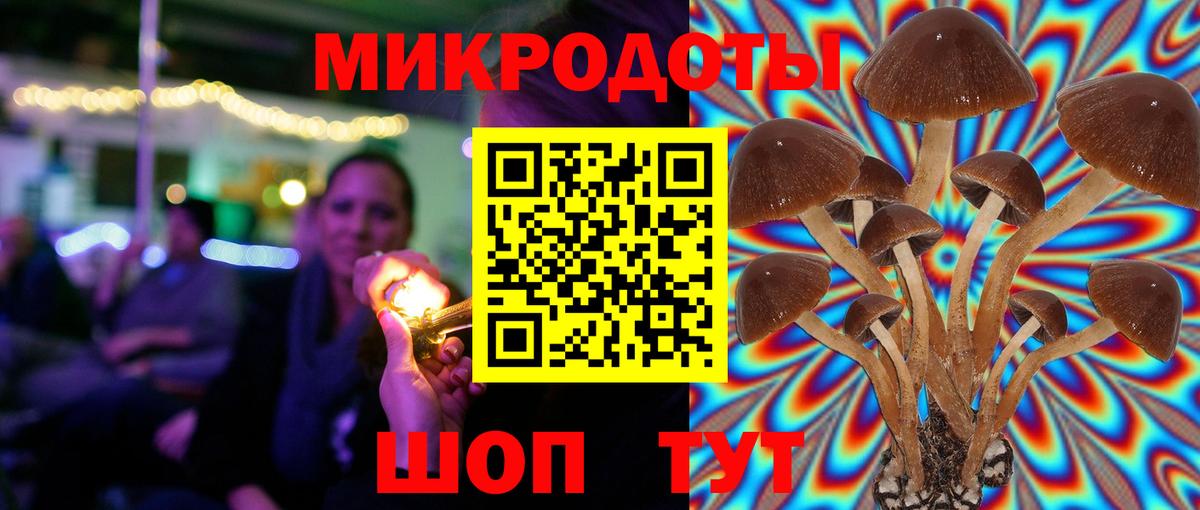 Псилоцибиновые грибы Magic Shrooms Прокопьевск